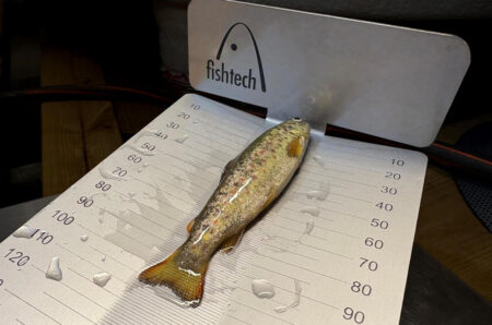 FT lengdemåler fisk, 30cm - Bilde 3